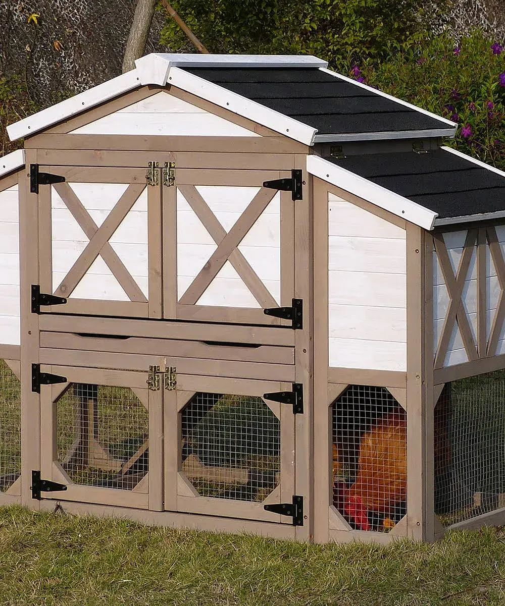 Chicken Coop Country Style