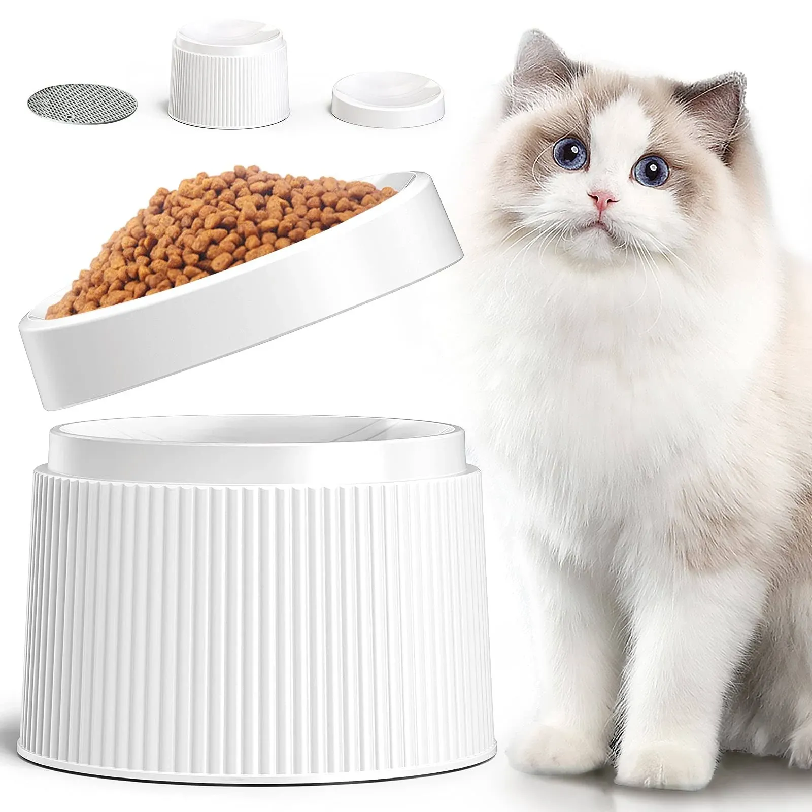 iPettie Elevated Cat Food Bowl Cat Dish, Tilted Pet Feeding Station with Stand ...