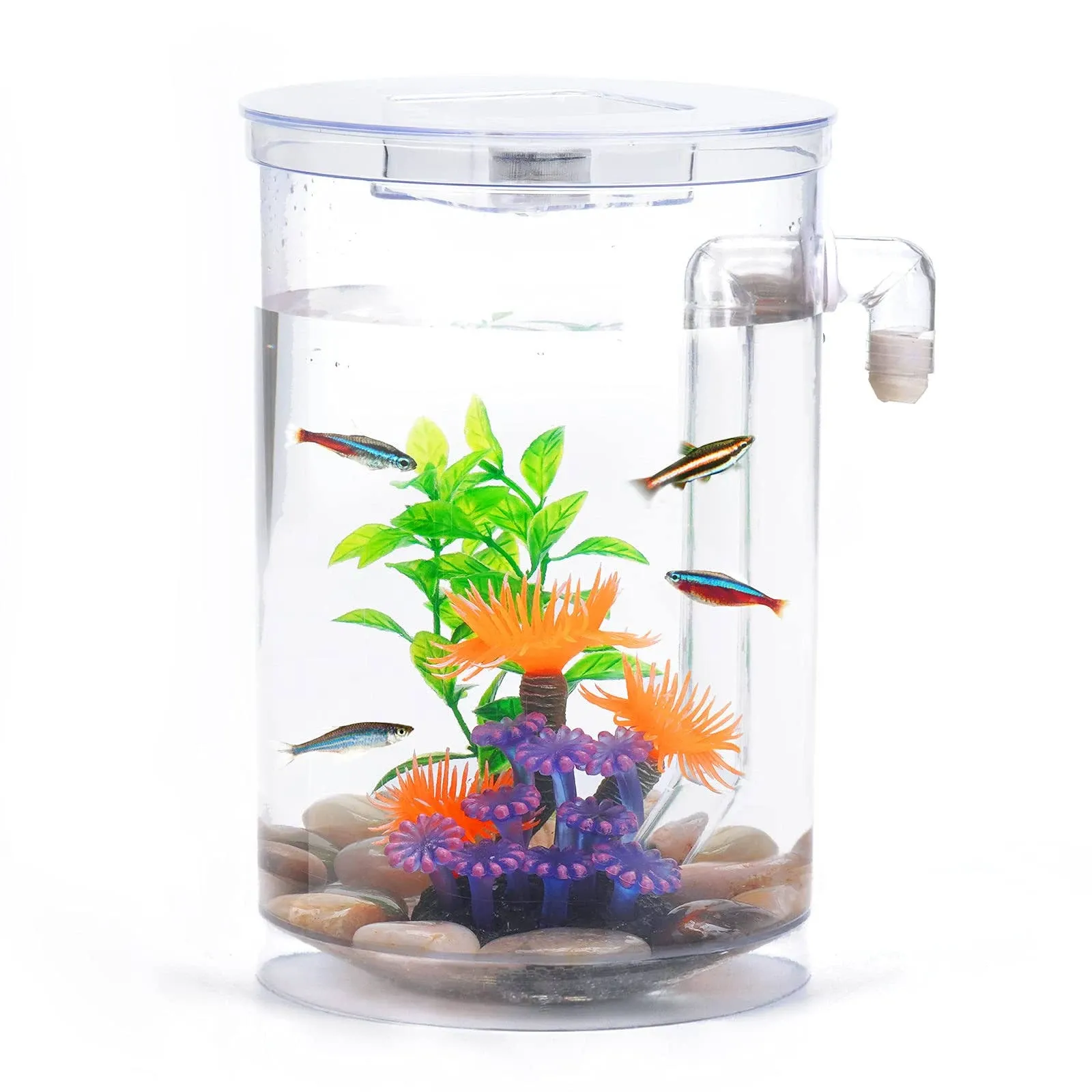 Betta Fish Tank, 360 Aquarium with LED Light, 1 Gallon Fish Bowl, Small Fish 