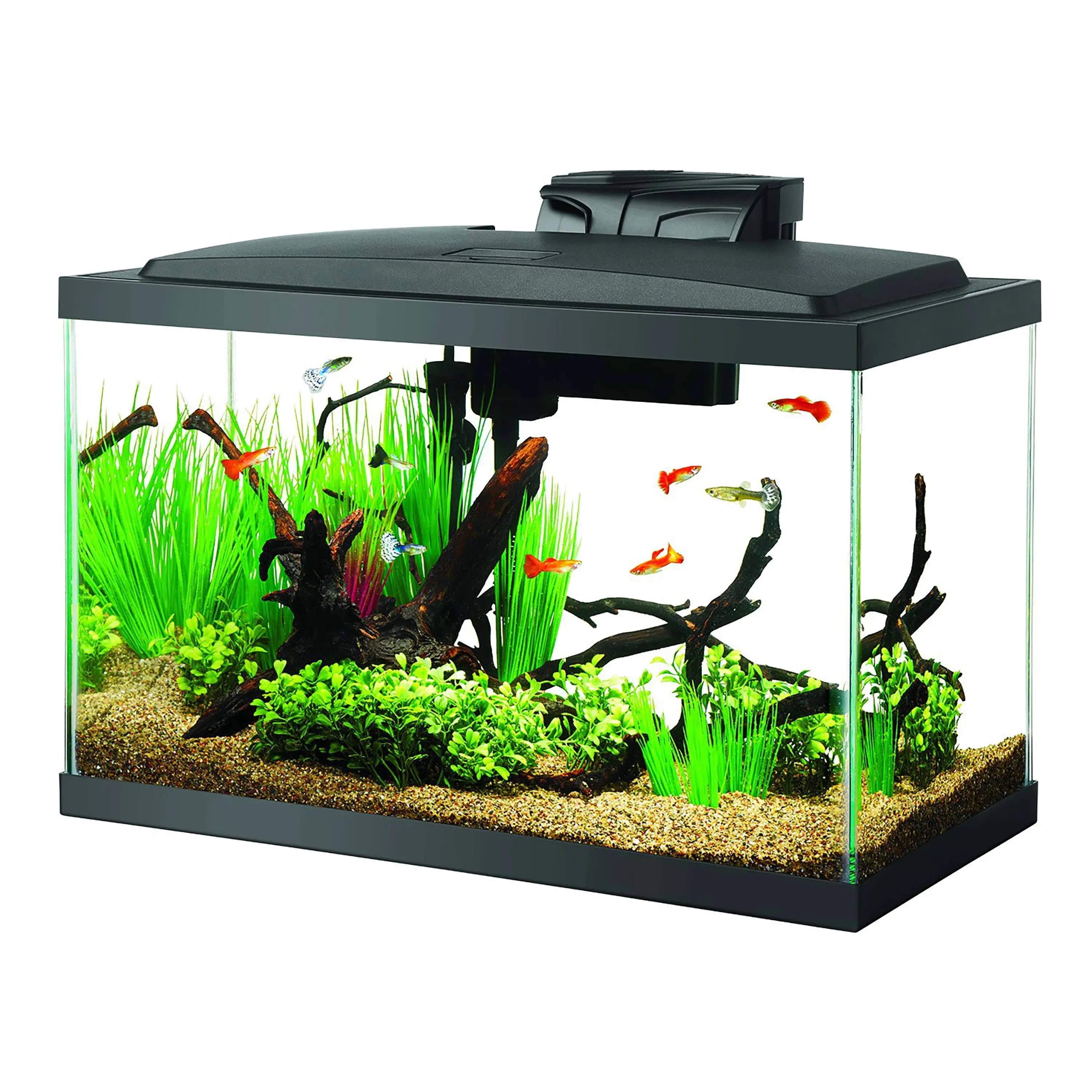 Aqueon 10 Gal LED Aquarium Kit