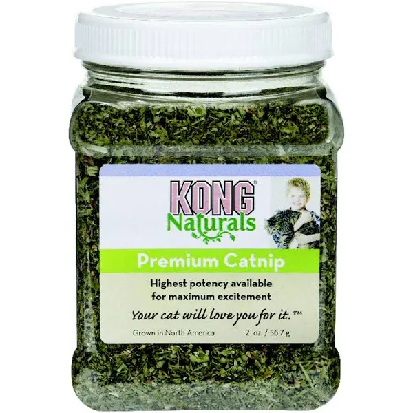 KONG Premium Catnip - 1 oz. Canister