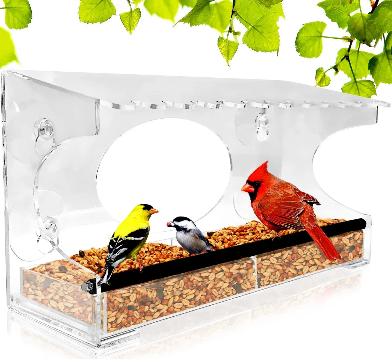 Nature Gear XL Window Bird Feeder - Extended Roof - Steel Perch - Sliding Feed T