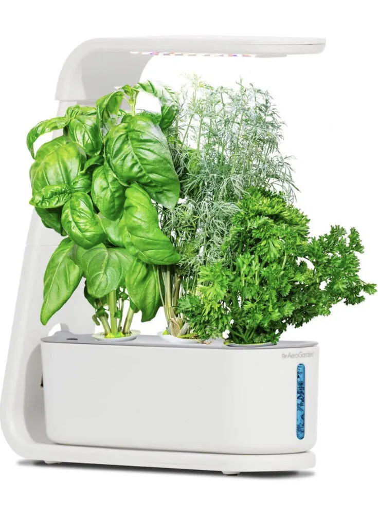 Aerogarden White Sprout