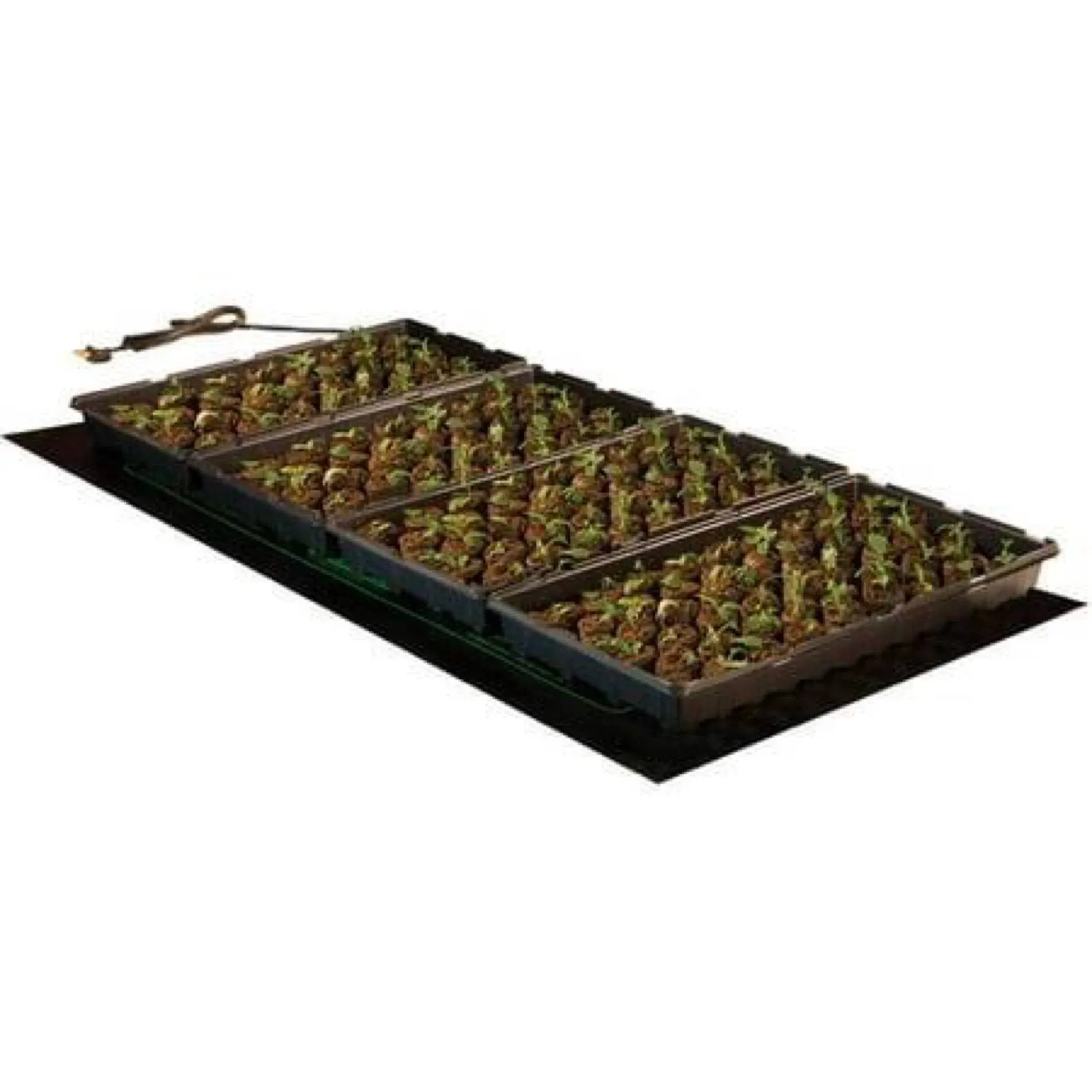 Hydrofarm MT10006 107W 120V Engineered Jump Start Seedling Heat Propagation Mat