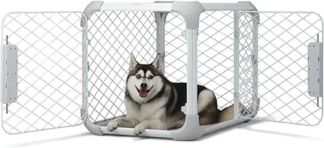 Diggs Evolv Dog Crate I Strong and Modular Design I Sturdy Playpen I Paw Safe Mesh I Built to Last for Puppies and Canines I (24’L x 17”W x 19”H) (Small, Ash)