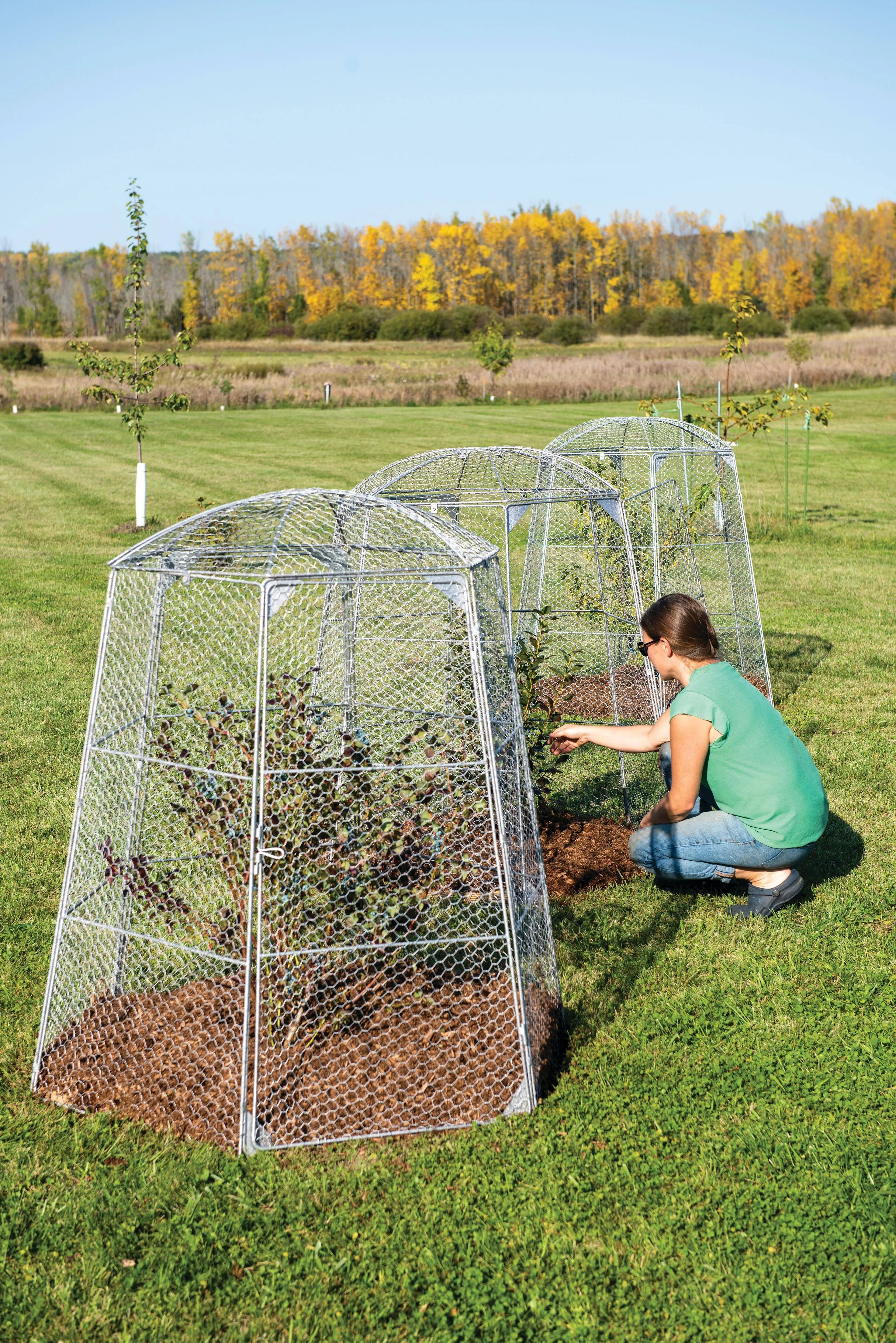 Gardener's Supply Company Chicken Wire Super Dome