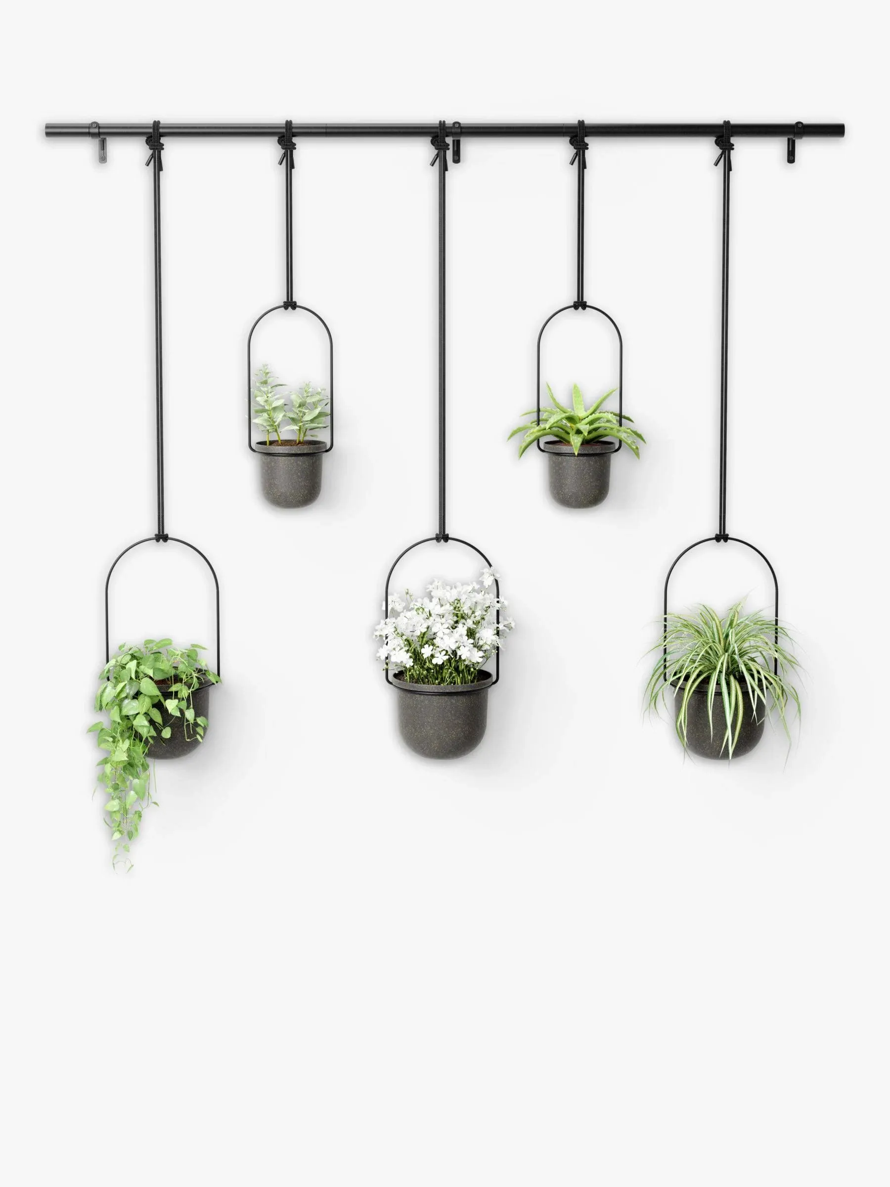 Umbra Triflora Hanging Planter, Set of 5, Black