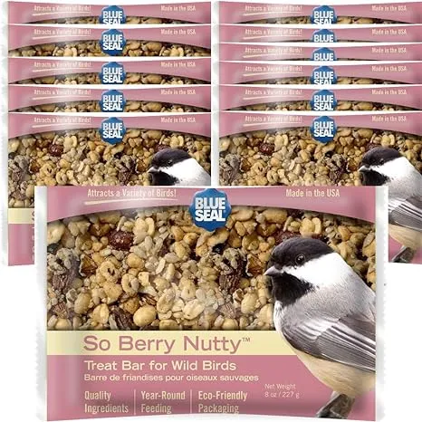 Blue Seal So Berry Nutty Suet Treat Bars for Wild Birds - 8oz Suet Feeder (Pack of 12) - New