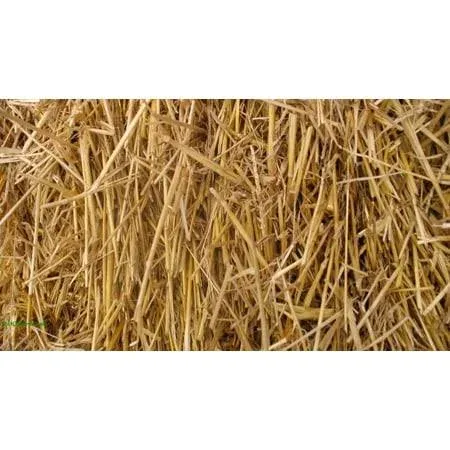 Thunder Acres 100% Natural Wheat Straw