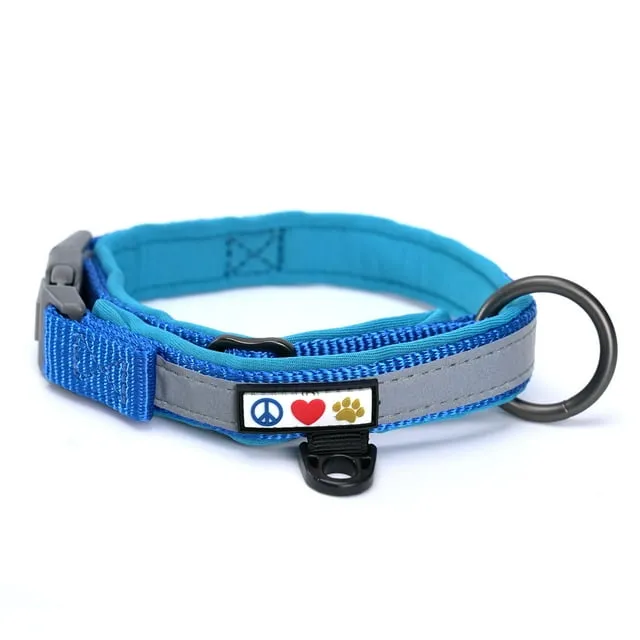 Reflective Padded Pet / Dog Collar by Pawtitas™