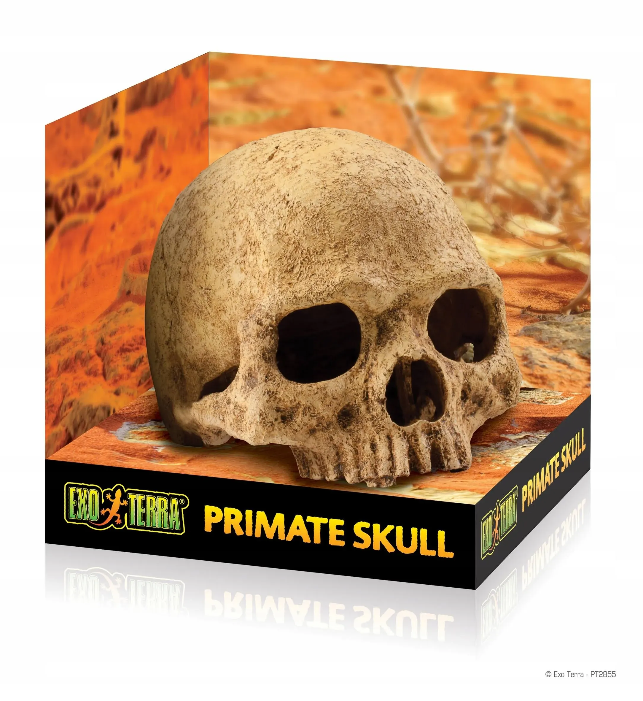 Exo Terra Terrarium Primate Skull