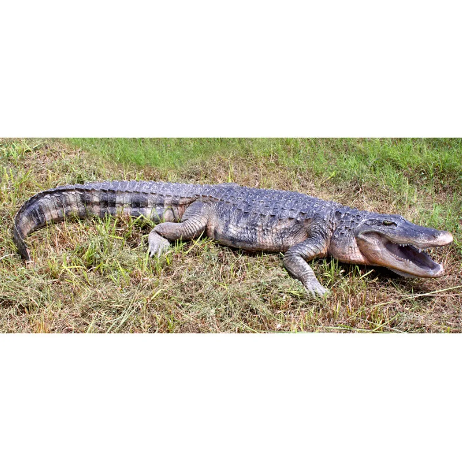 Design Toscano Stalking Swamp Predator Alligator Garden Statue