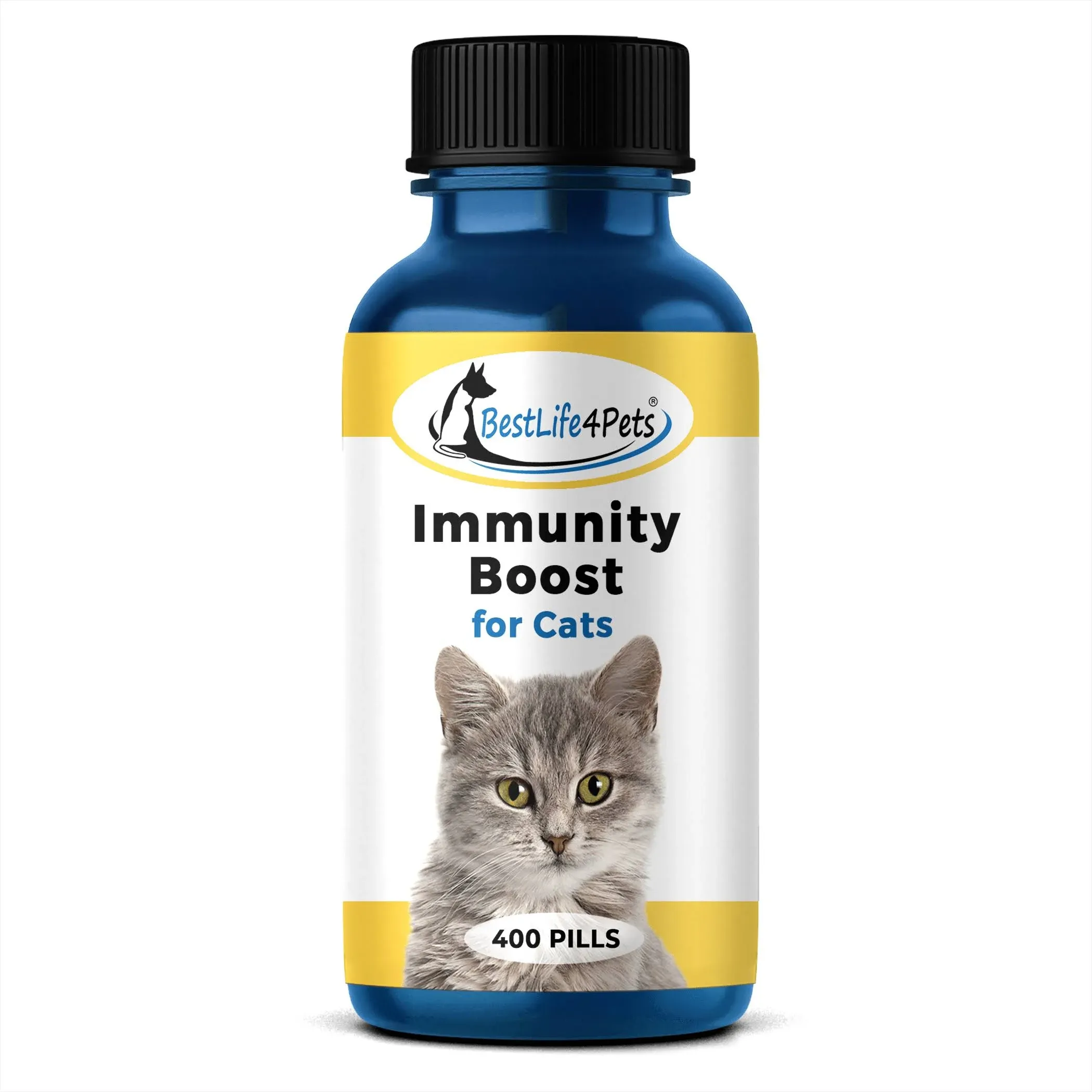 Immunity Boost for Cats Supplement – Helps Your Feline's Respiratory and ...