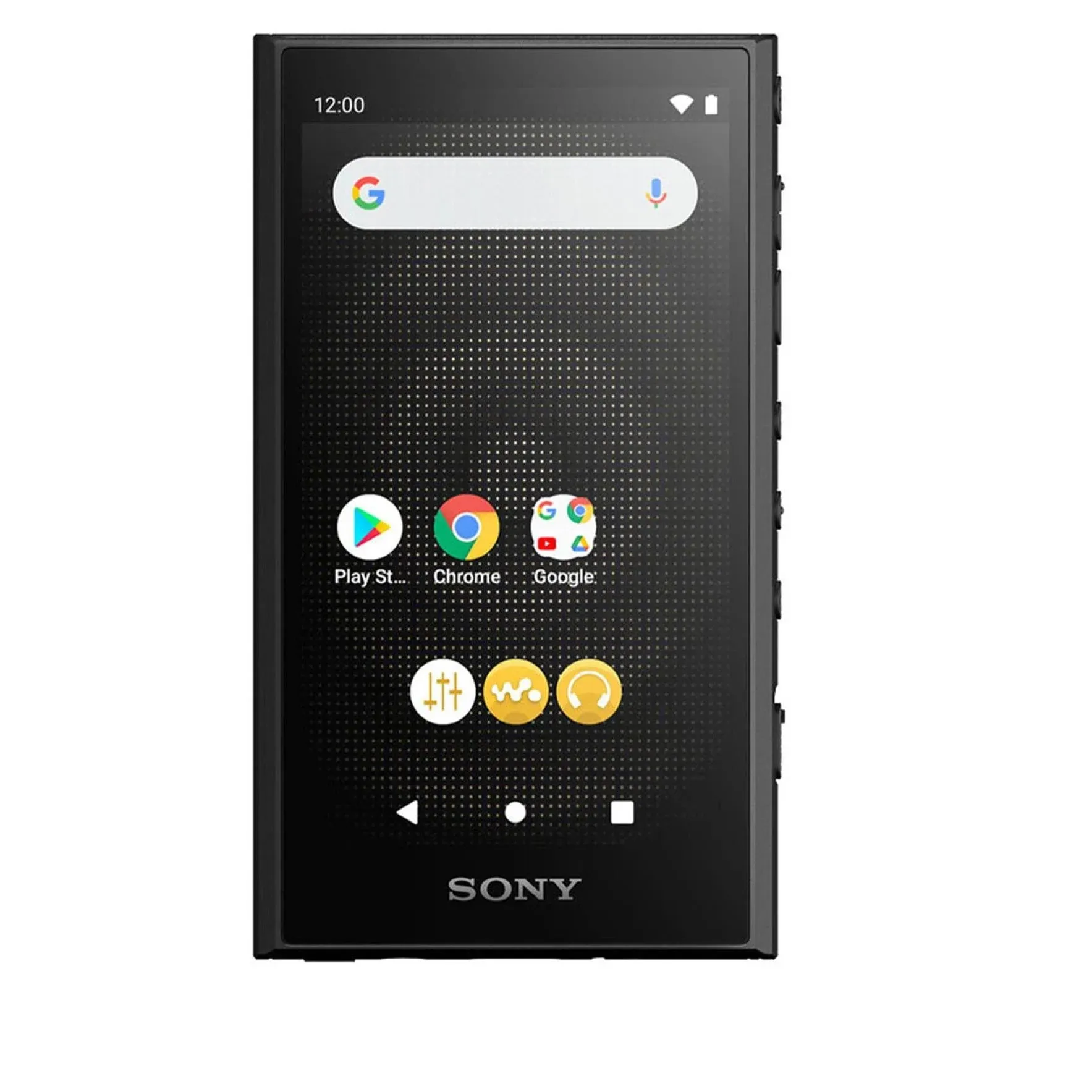 Sony NW-A306 Walkman Digital Player