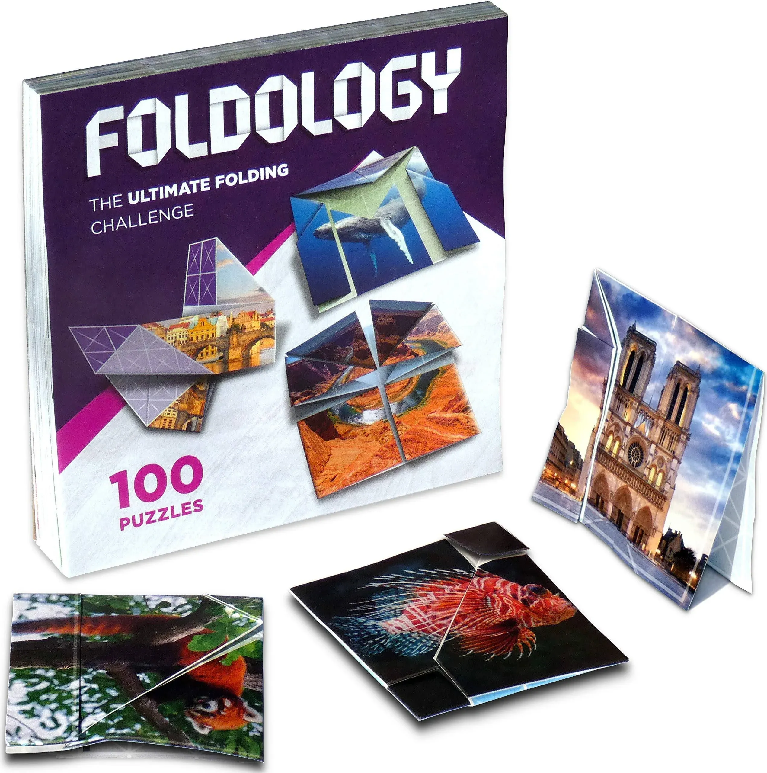 FOLDOLOGY - The Origami Puzzle Game! Hands-On Folding Brain Teasers. Stocking...