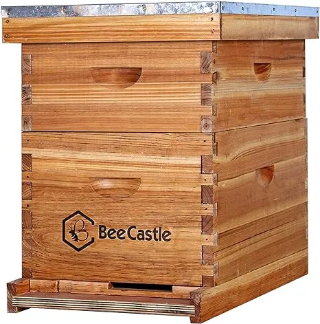 BeeCastle 10-Frames Complete Beehive Kit