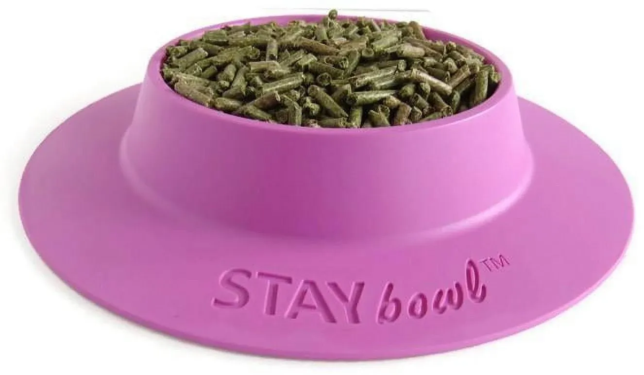 Tip-Proof Bowl for Guinea Pigs and Other Small Pets - Lilac (Purple) - Large 3/4 Cup Size New