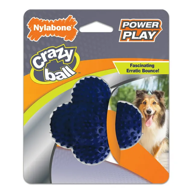 Nylabone Power Play Crazy Ball Dog Toy