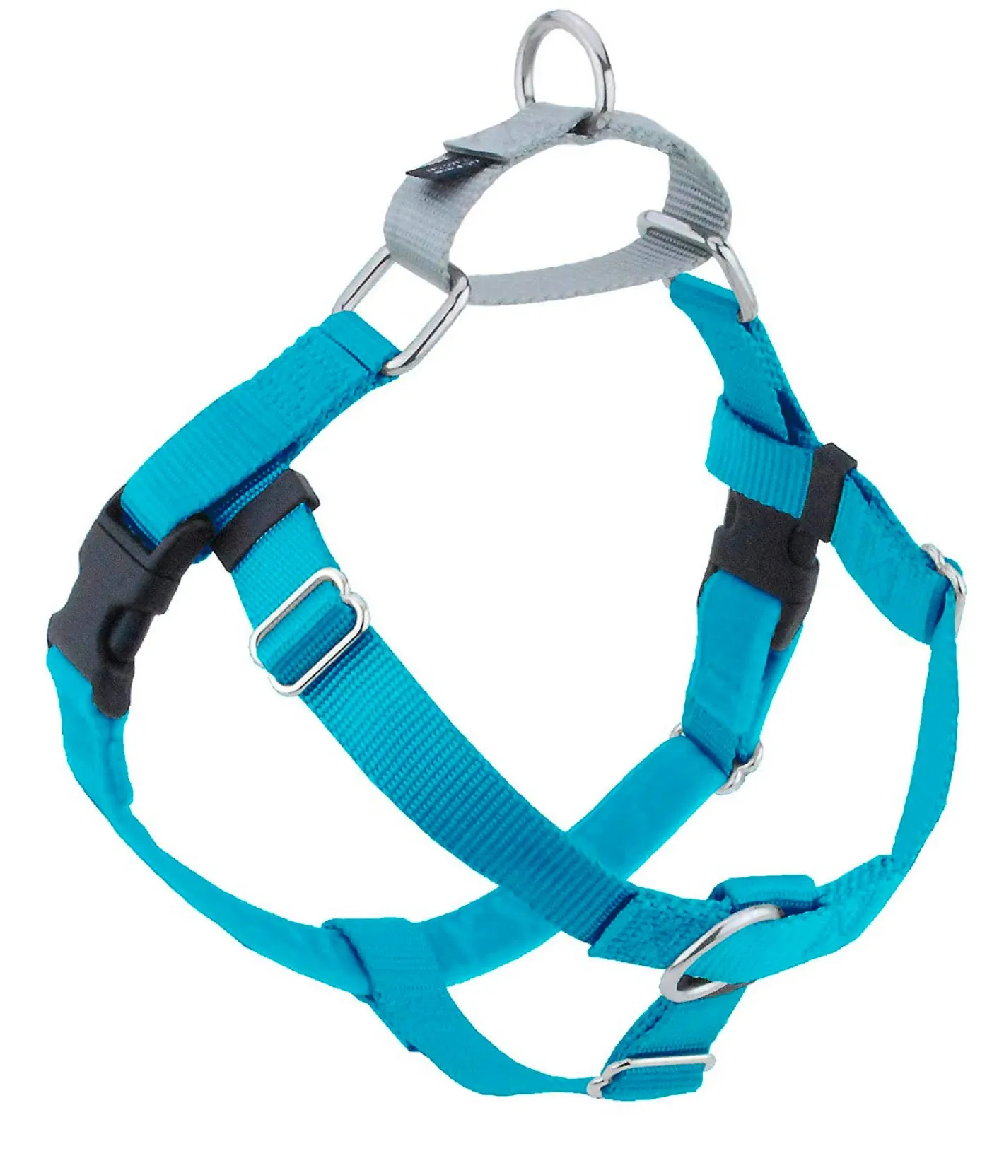 Turquoise Freedom No-Pull Dog Harness