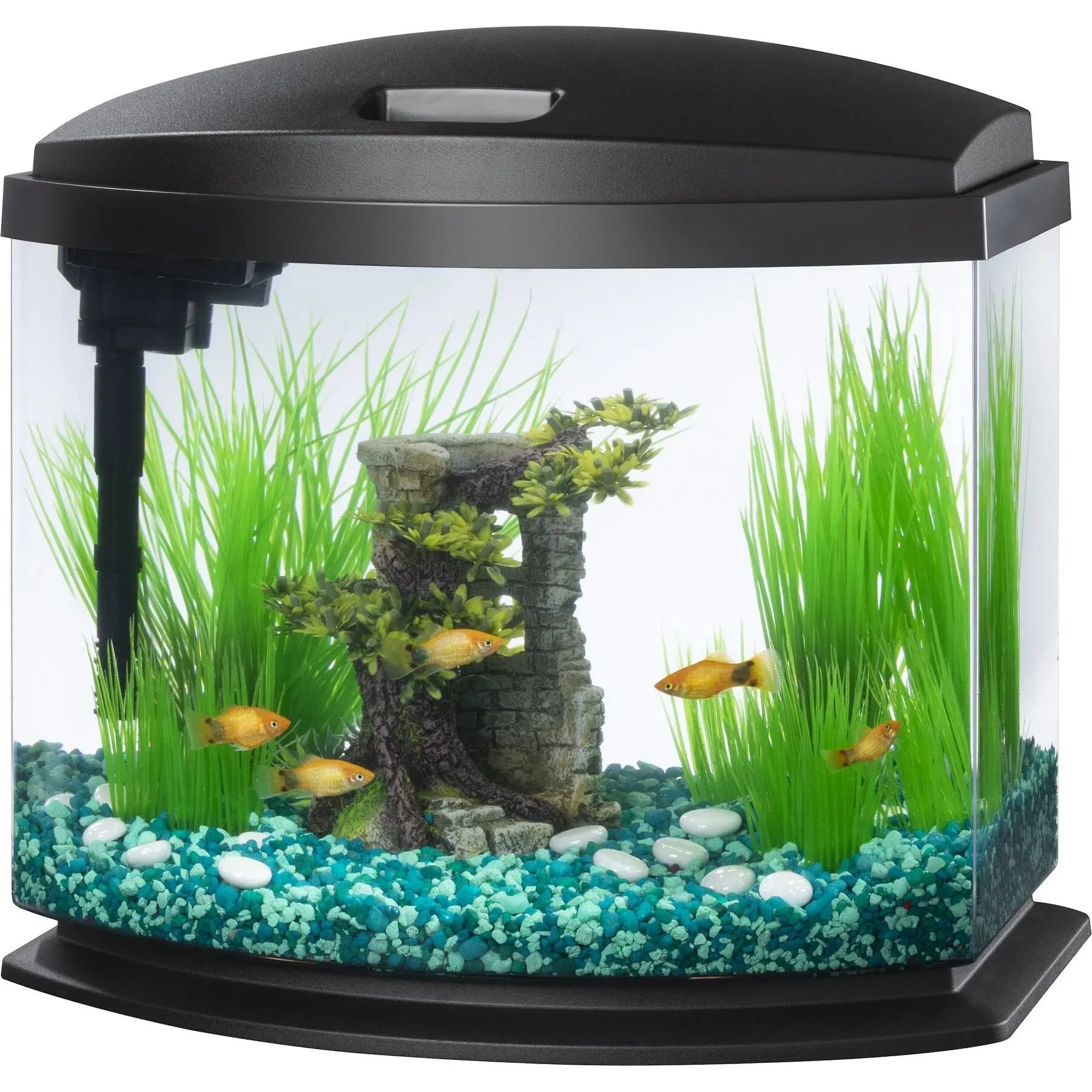 LED MiniBow Small Aquarium Fish Tank Kit with SmartClean Technology