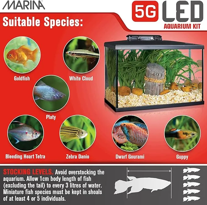 Marina Aquarium Kit - 20 gallon Fish Tank - LED