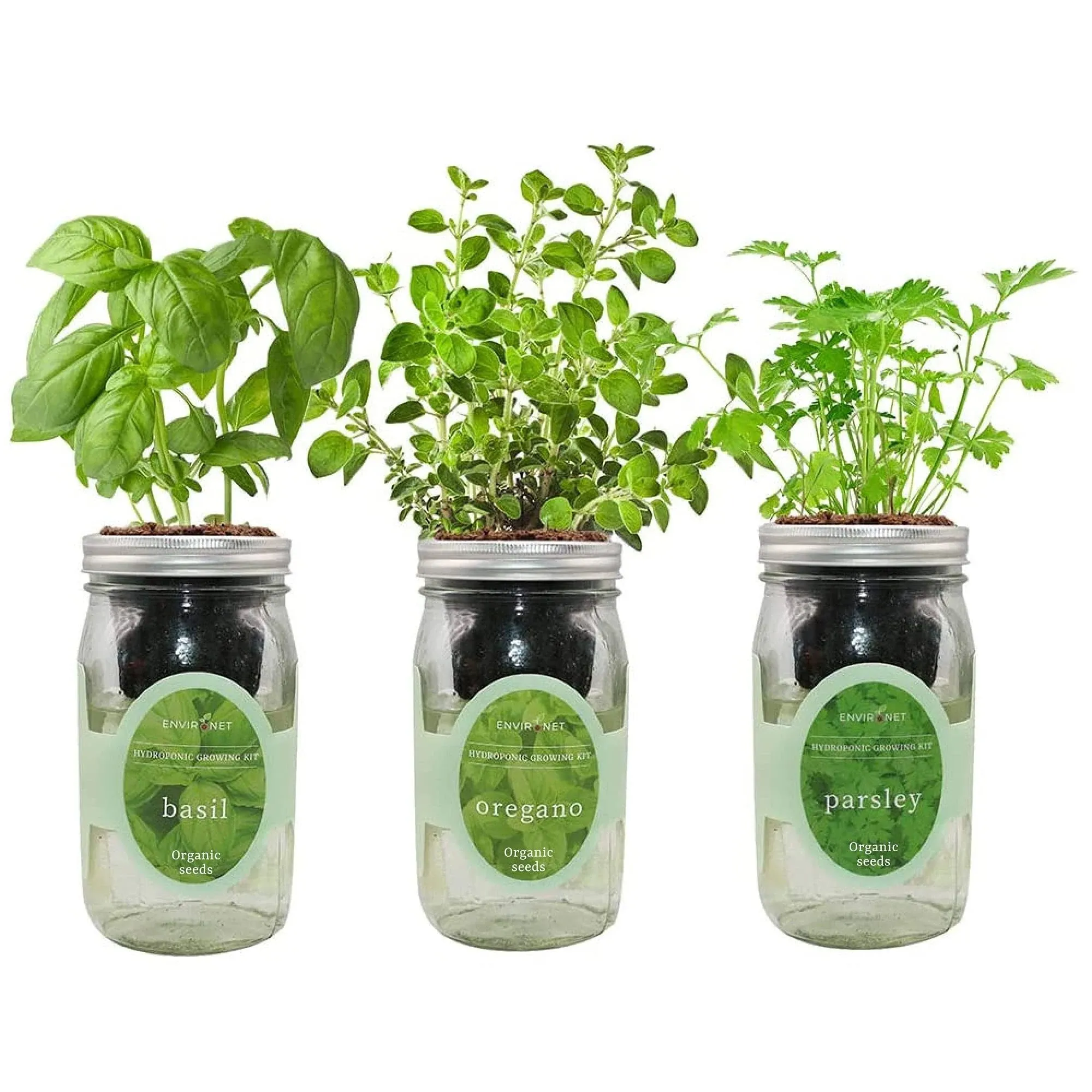 Environet Hydroponic Herb Growing Kit