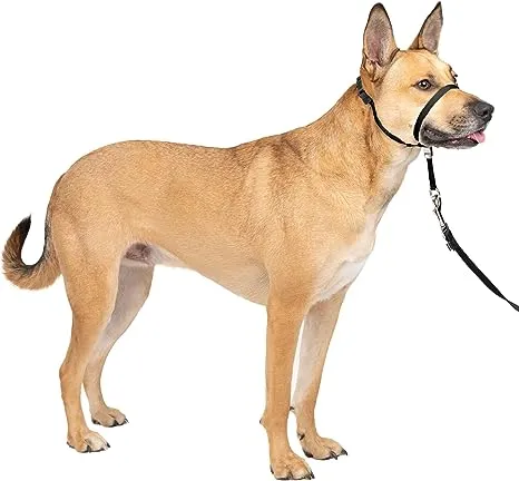 PetSafe Gentle Leader No-Pull Dog Headcollar - The Ultimate Solution to Pulling - Redirects Your Dog's Pulling For Easier Walks - Helps You Regain Control - Medium , Black