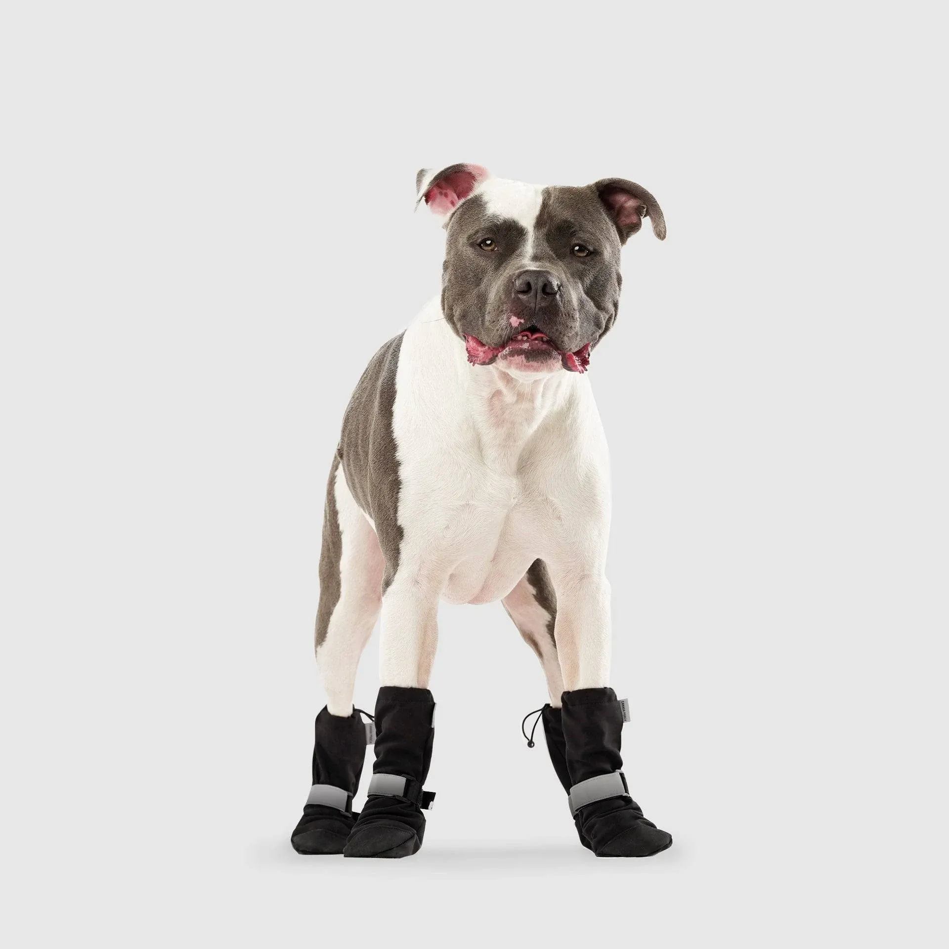 Canada Pooch Soft Shield Dog Boots