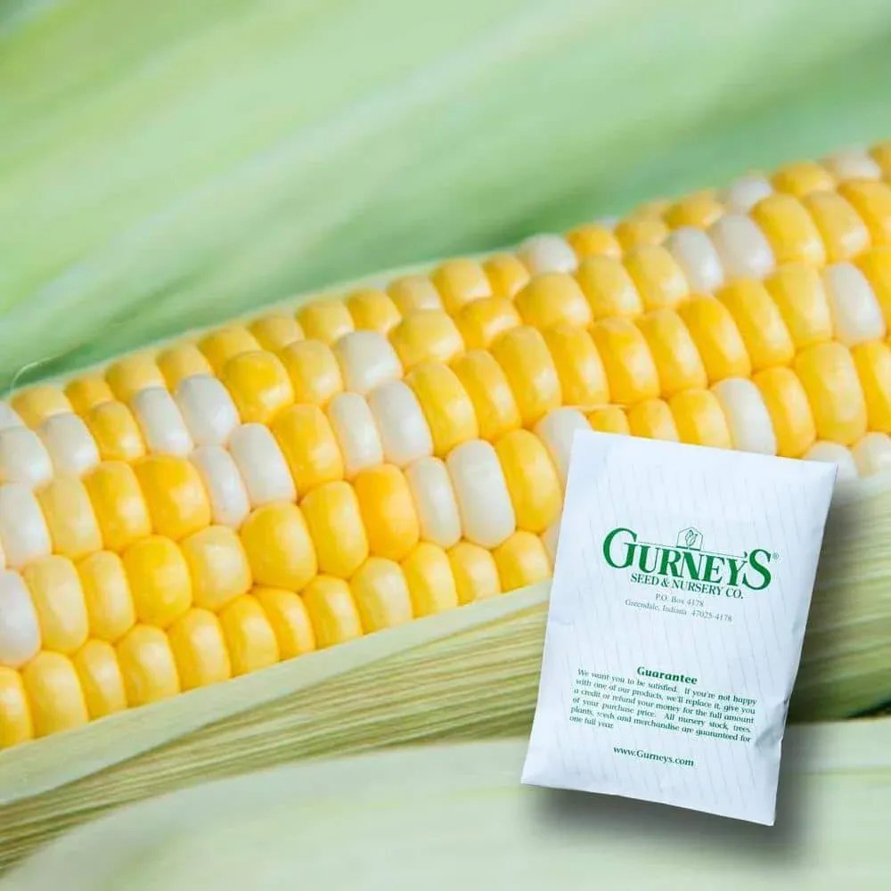 Gurney's 0.50 lb. Sweet Corn Gotta Have It Hybrid (Seed Packet) 69949