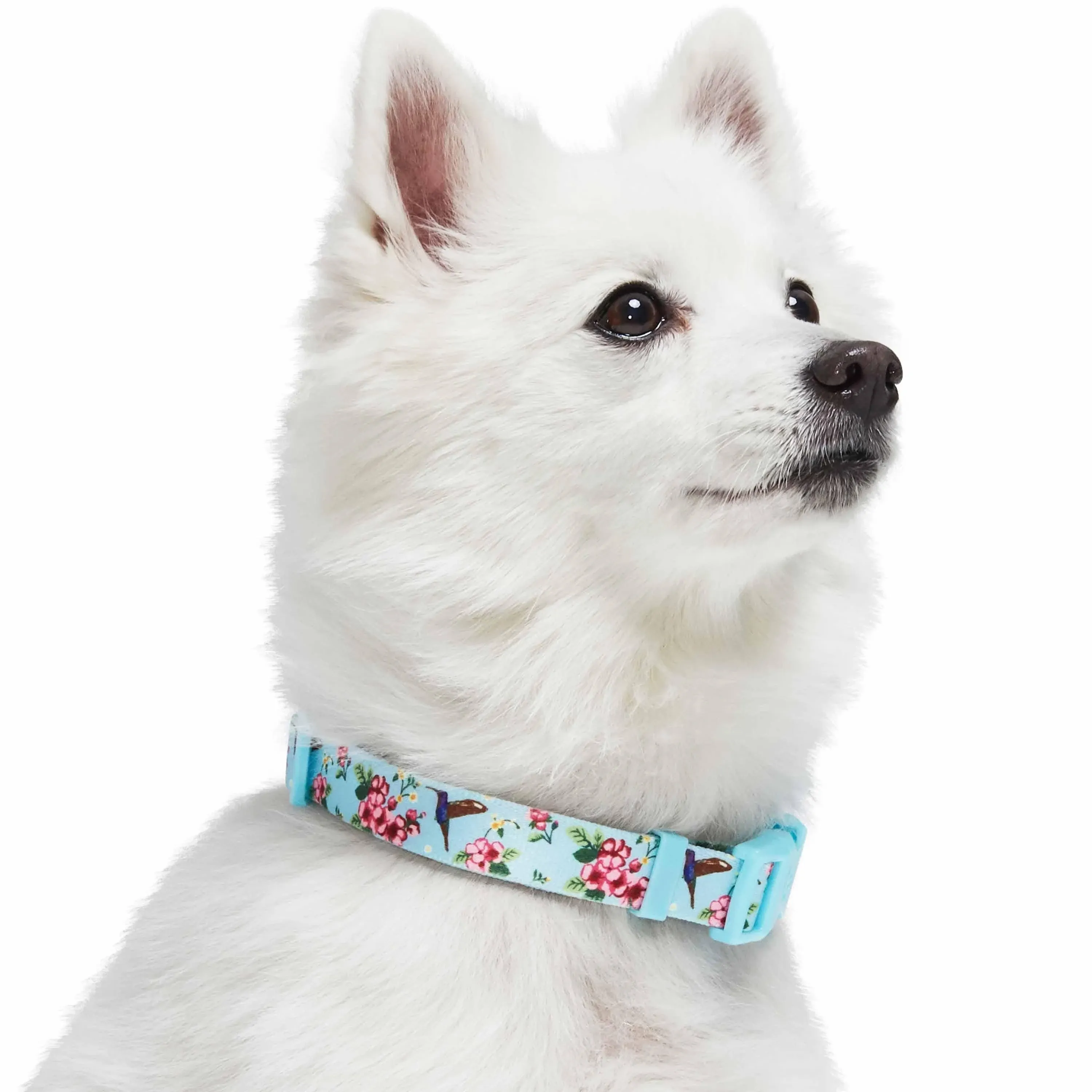 Blueberry Pet Spring Scent Inspired Flower and Hummingbird Adjustable Dog Collar