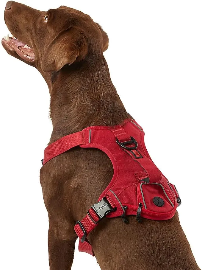 KONG Ultra Durable Waste Bag Harness (Medium, Red)