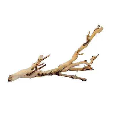 Exo Terra Forest Branch - Medium