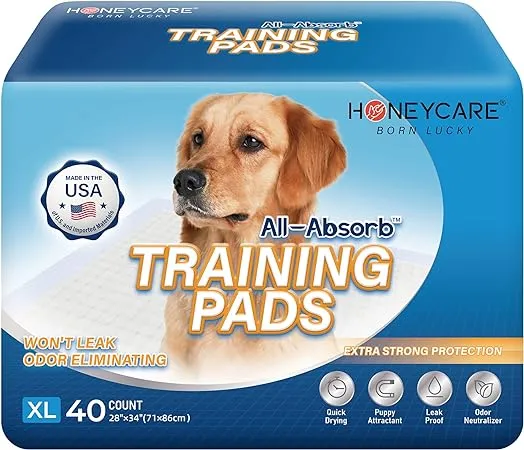 Honey Care All-Absorb Dog and Puppy Training Pads