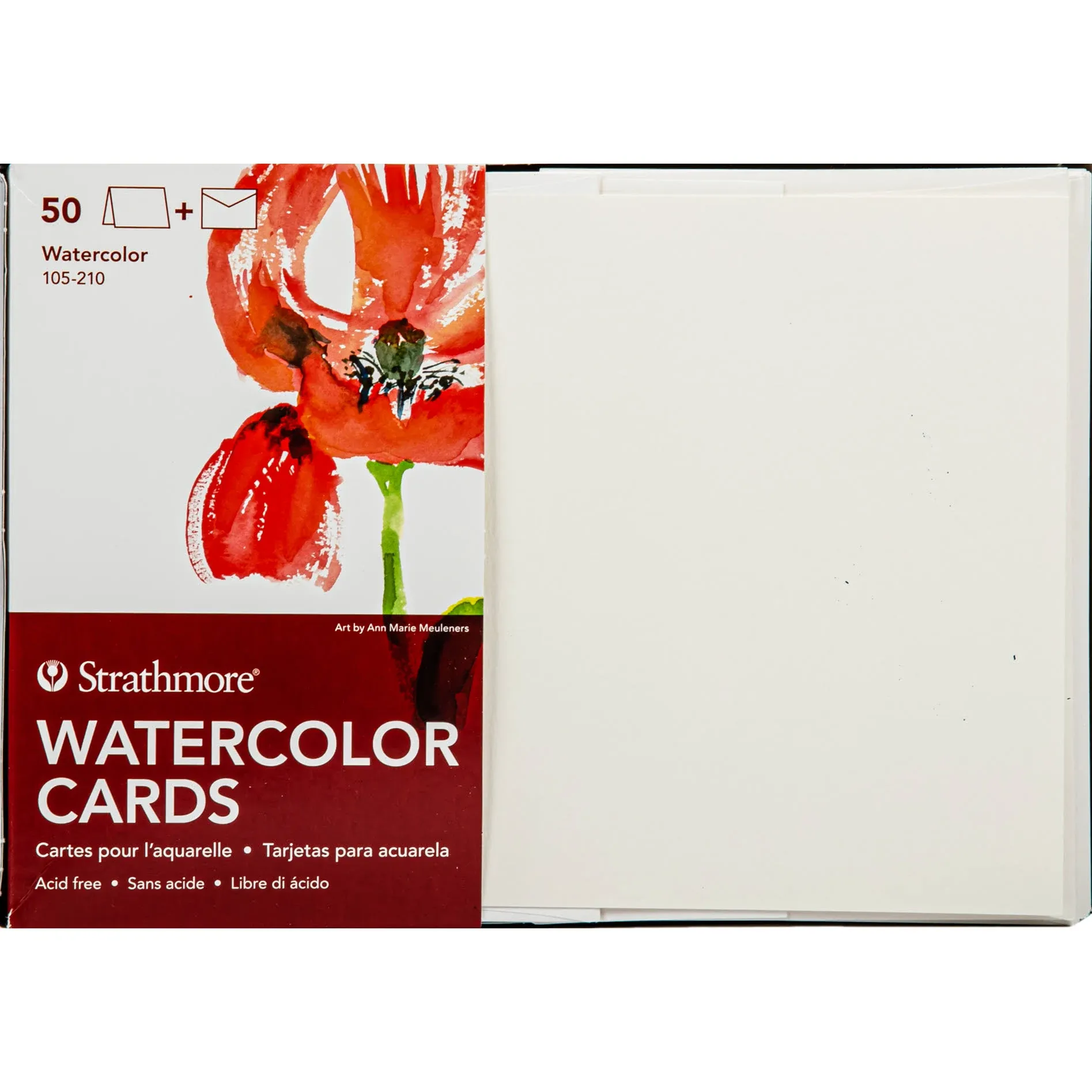 Sthrathmore Watercolor Blank Greeting Card - Pack of 50 - 8856808 | HSN