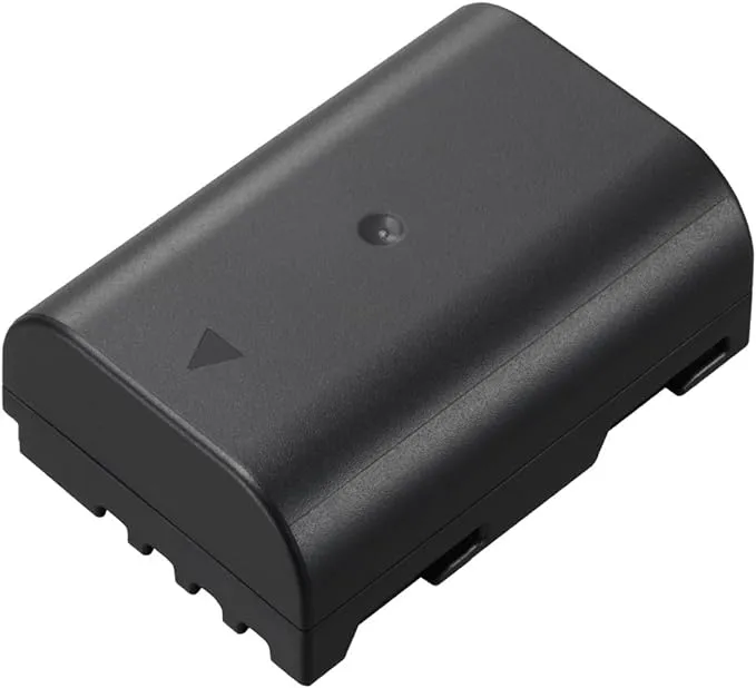 Panasonic Battery DMW-BLF19