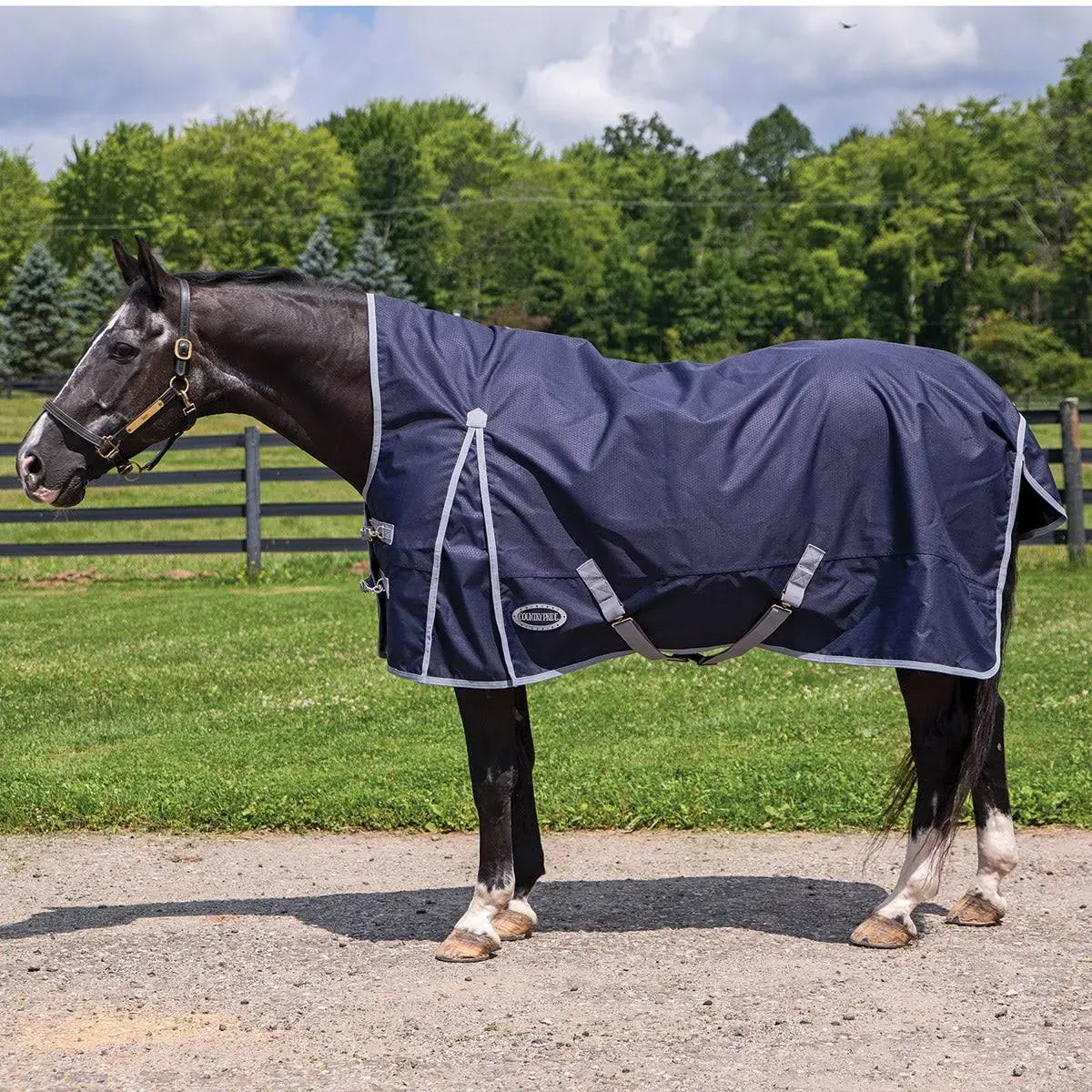 Country Pride Paladin High Neck Heavyweight Turnout Blanket