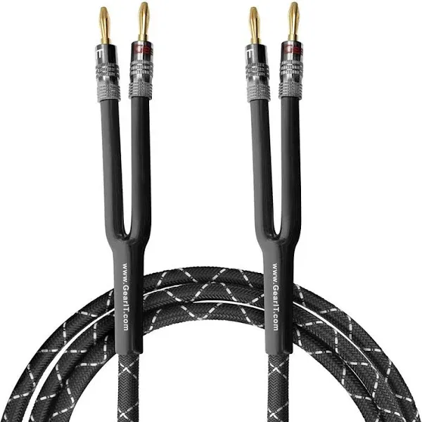 GearIT 12AWG Premium Heavy Duty Braided Speaker Wire (10 Feet) with Dual Gold Plated Banana Plug Tips 