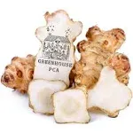 5 Tubers Jerusalem Artichokes for Planting OR Eating by Greenhouse PCA