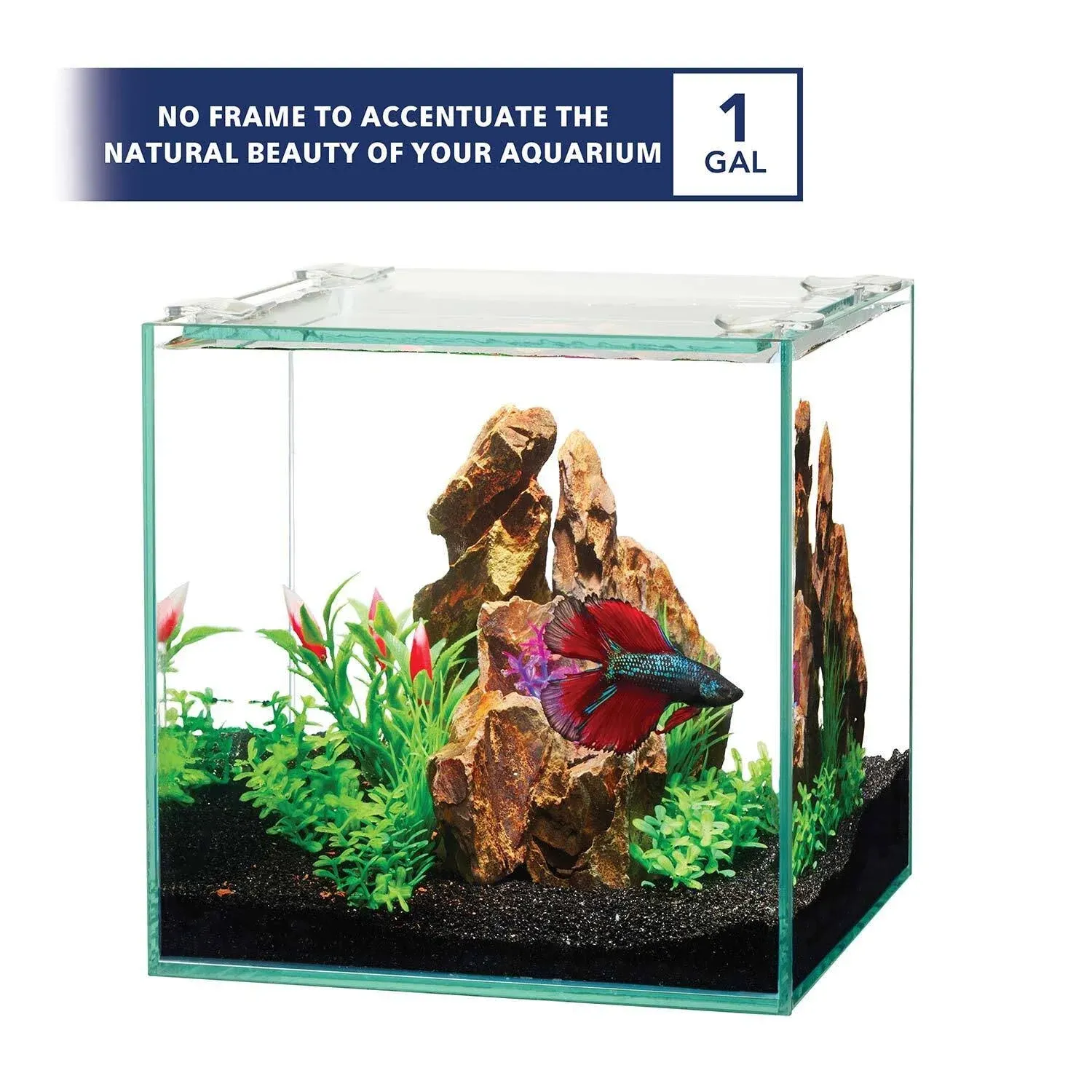 Aqueon Frameless Cube Aquarium