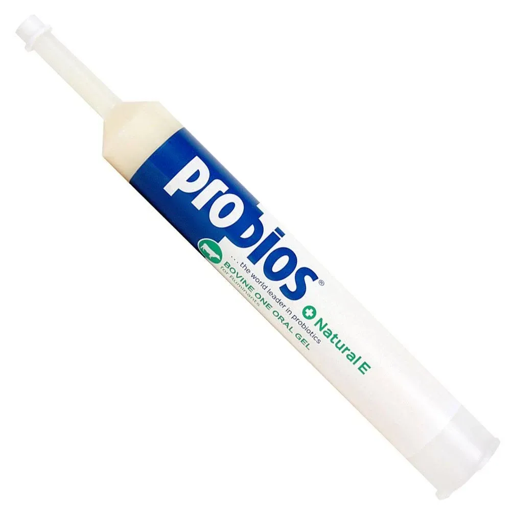 Probios Bovine One Oral Gel + Natural E For Pets (300g)