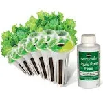 Salad Greens Seed Pod Kit: Red and Green Leaf, Romaine, and Butter Head Lettuce,