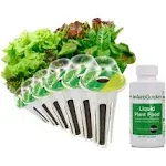 AeroGarden Heirloom Salad Greens Seed Pod Kit