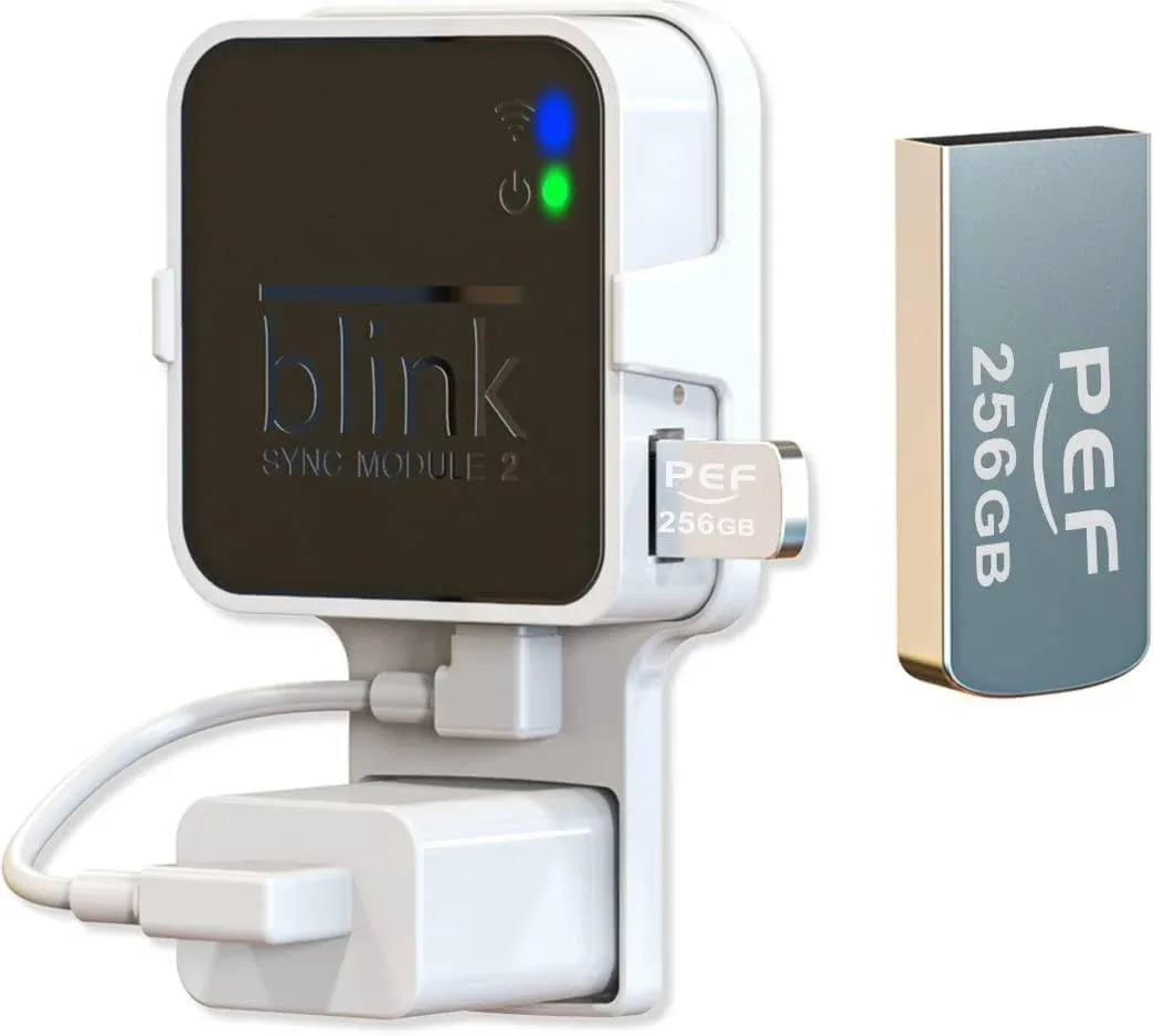 256GB Blink USB Flash Drive for Local Video Storage and The Outlet Mount for Blink Sync Module 2(Blink Add-On Sync Module 2 Itself Is Not Included)