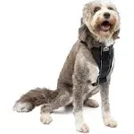 Kurgo Tru-Fit Smart Dog Harness