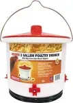 Farm Innovators 2 Gal Heated Poultry Drinker