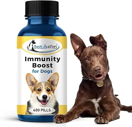 Dog Immune Support Supplement - Boosts Immune System in Small & Large Dog Breeds