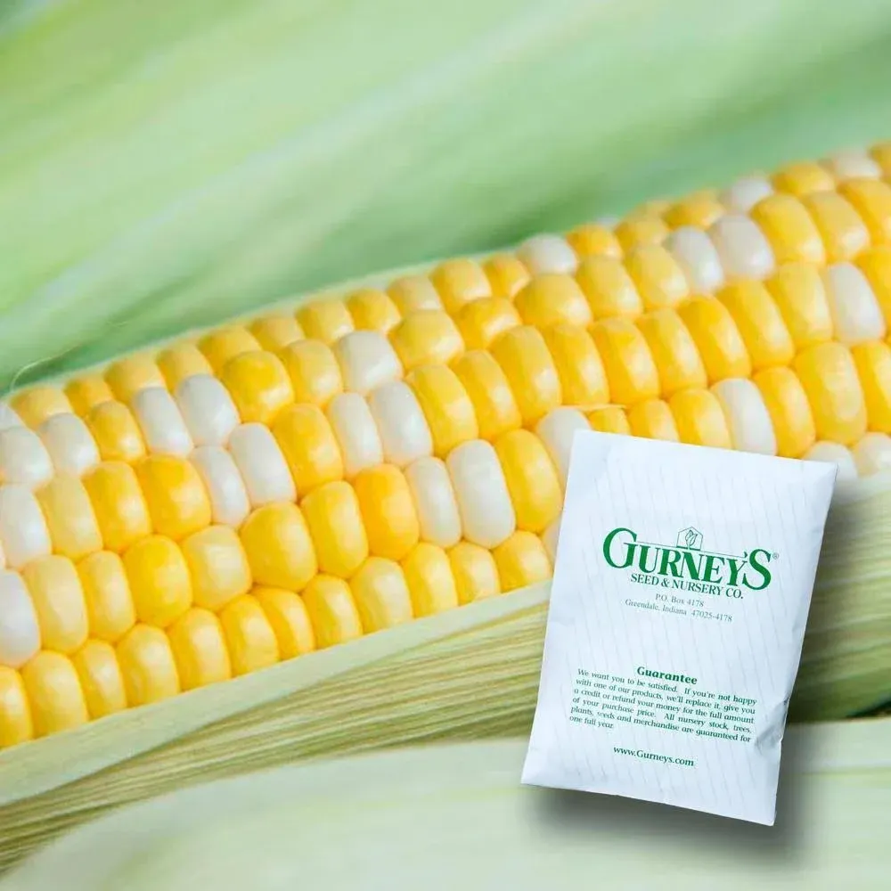 Gurney's Sweet Corn Gotta Have It Hybrid (2 lb. Seed Packet)