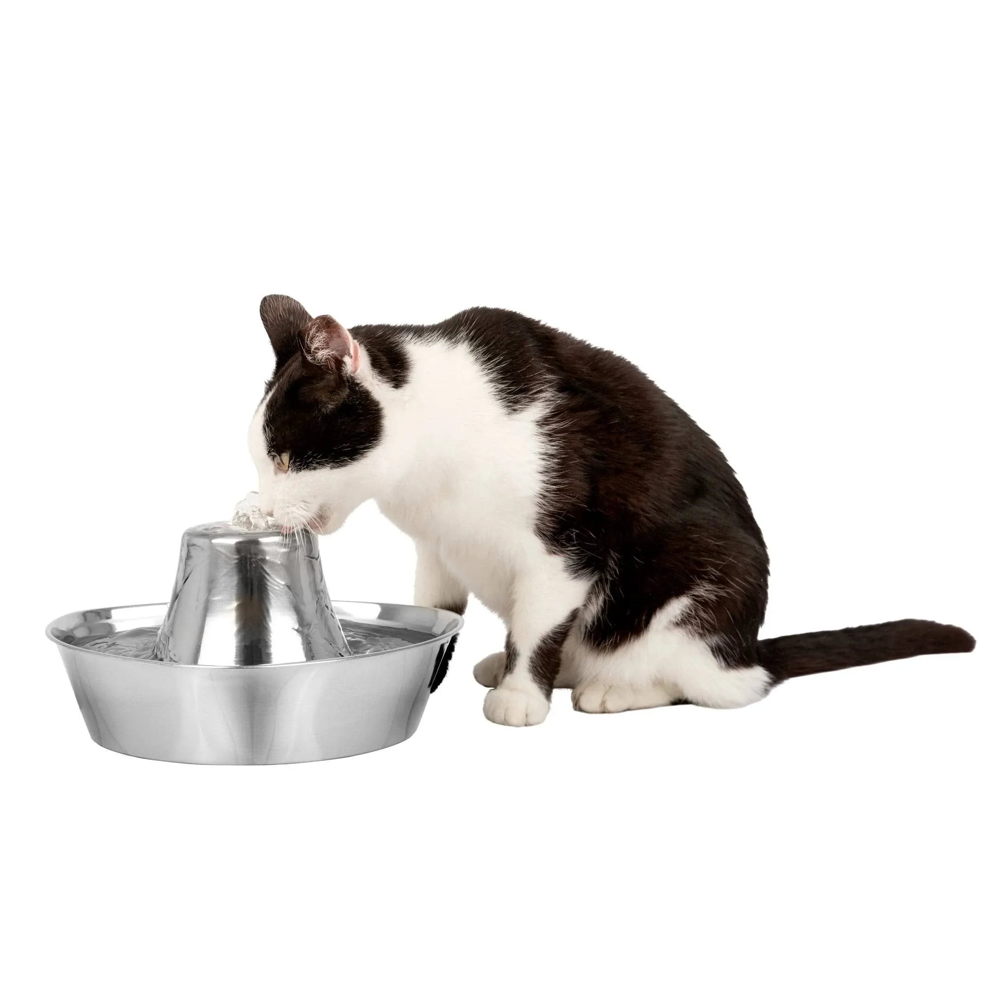 PetSafe Seaside Stainless Pet Fountain