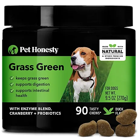 Pet Honesty Grass Green Soft Chews for Dogs