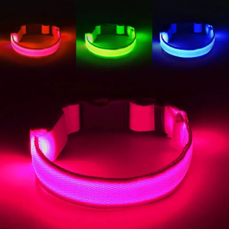 Omni Soulmate Third LED Dog Collar,USB Rechargeable Light Up Dog Collars,3Modes ...